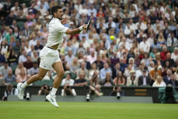 Novak Djokovic and Carlos Alcaraz meet in the Wimbledon final