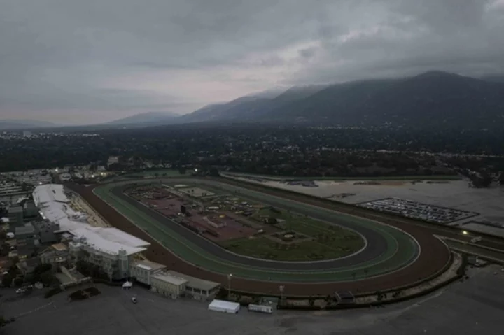 Breeders' Cup contender Practical Move dies after a morning gallop at Santa Anita