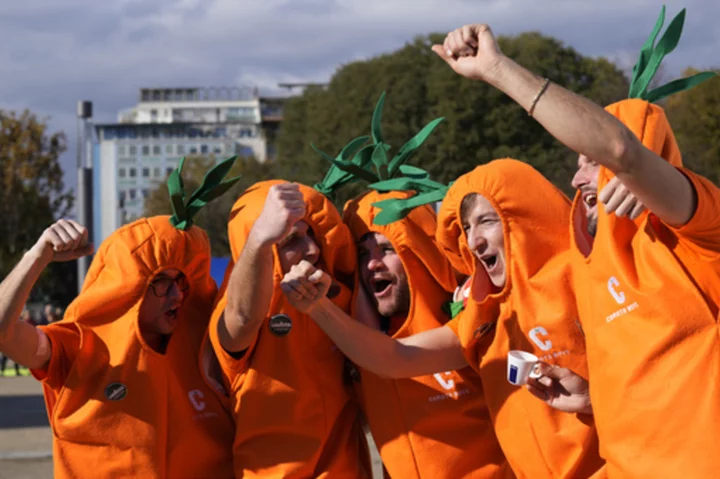 Jannik Sinner's carrot-clad fans take root on the tennis tour in their orange-colored costumes