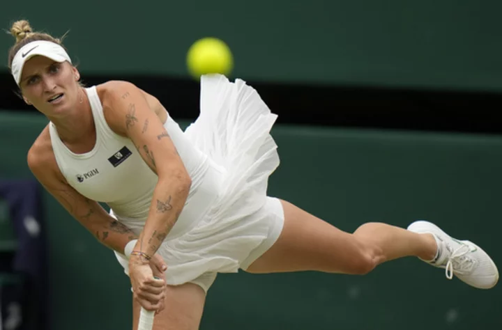 Analysis: Wimbledon's champion says a taste for McDonald's makes her normal. But she's unique