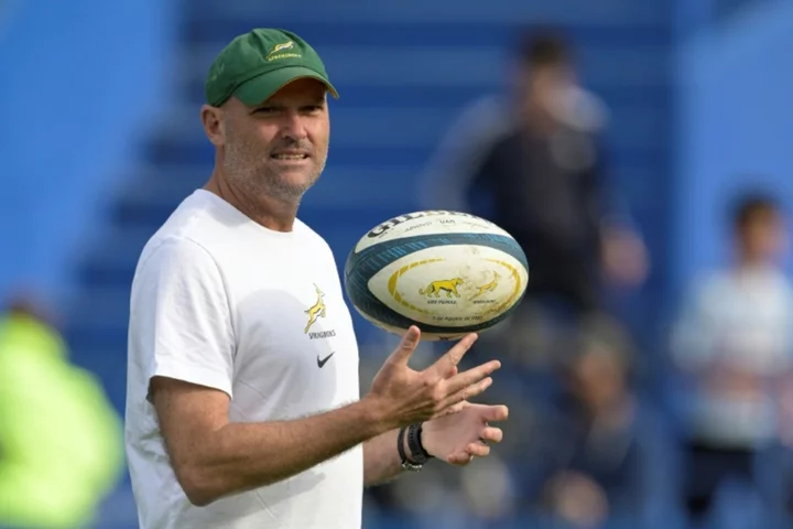 Heat and humidity of Corsica will benefit Springboks, says Nienaber
