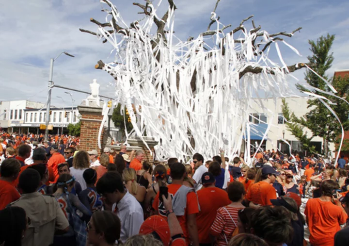 Celebrating Auburn fans can once again heave toilet paper into Toomer's Oaks