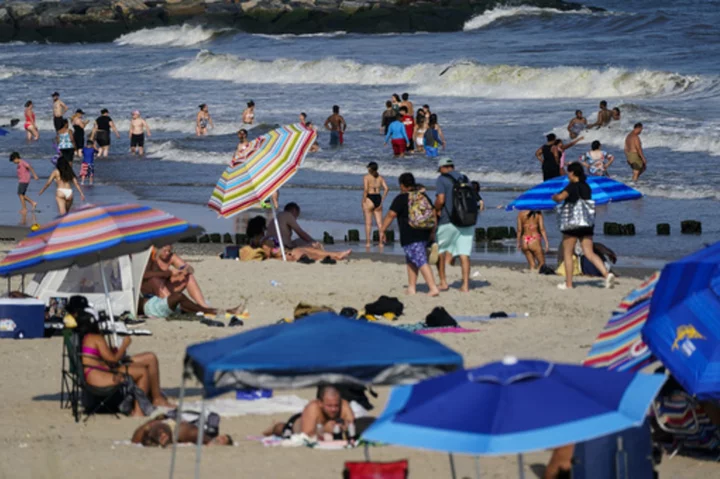 Woman critically injured by rare shark bite off NYC's Rockaway Beach