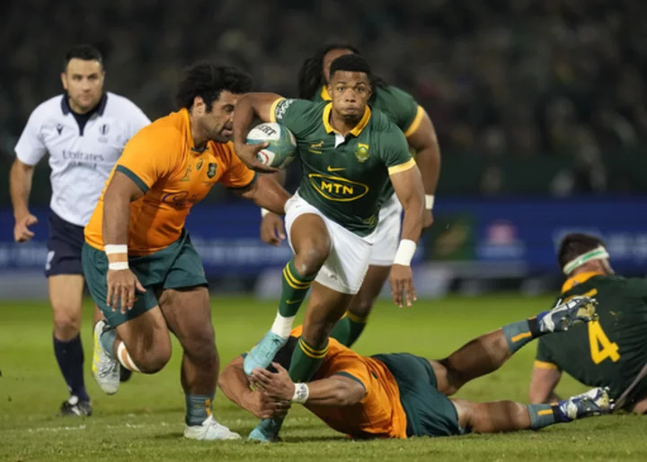 Springboks steamroll Australia 43-12 in Rugby Championship as Arendse scores hat trick