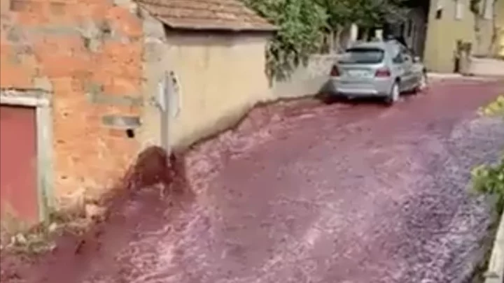River of Wine Flows Through Streets in Portugal