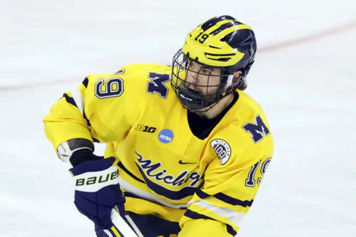 The top prospects for the 2023 NHL draft from Bedard to Fantilli to Reinbacher and more