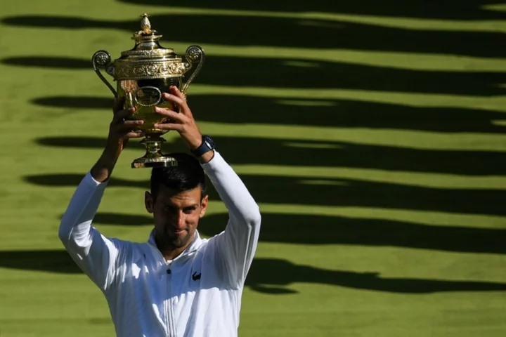 Djokovic could face Kyrgios again at Wimbledon