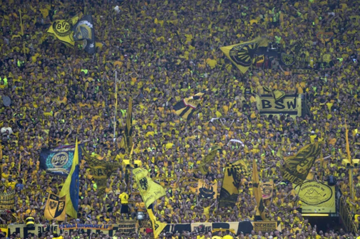 Fire department removes wasp-swarmed spotlight before Dortmund's title-deciding Bundesliga game