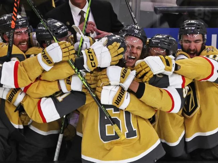 Vegas Golden Knights win first Stanley Cup in young franchise's history after defeating Florida Panthers