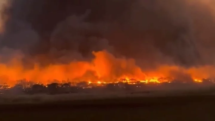 Footage From Maui Fires Is Devastating