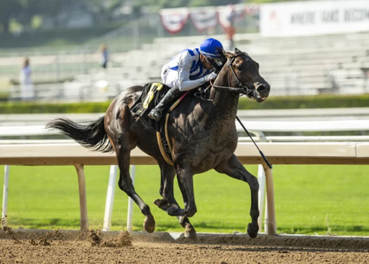 2nd horse based at Santa Anita dies leading up to Breeders' Cup