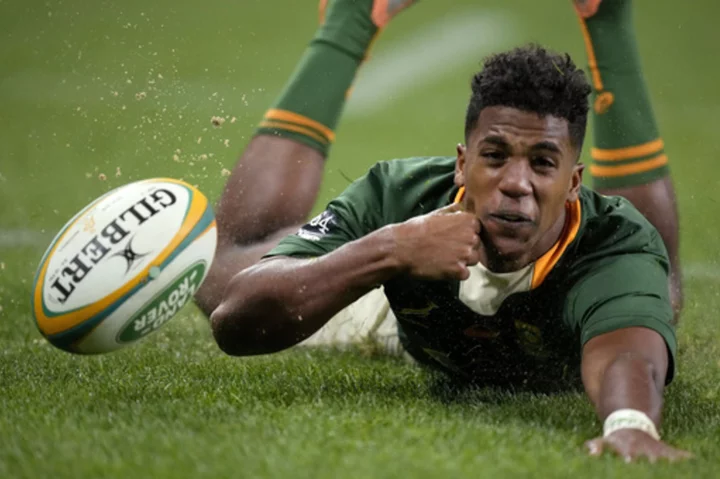 Springboks aim to go back-to-back at Rugby World Cup for golden end to Erasmus-Nienaber era