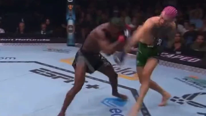 Video: Sean O'Malley Knocks Out Aljamain Sterling at UFC 292