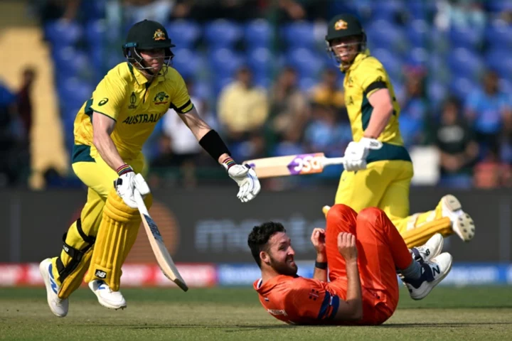Warner, Smith hit fifties as Australia start strong against Dutch