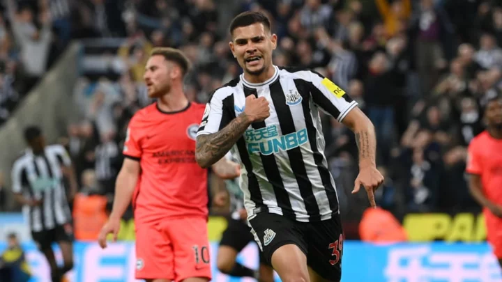 Newcastle 4-1 Brighton: Player ratings as Champions League beckons for Magpies