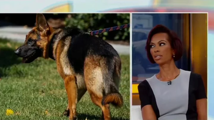 Fox News Host Wonders If Joe Biden's Dog Is On Cocaine