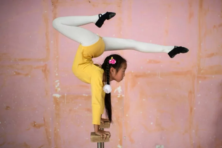 Mongolia's circus performers fight to preserve their craft